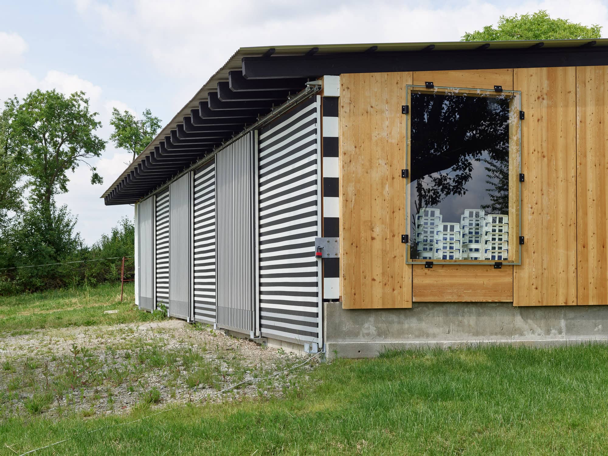 mua 25 06 17 schuppen dathe 002